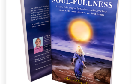 Soul Fullness by Tosin King James