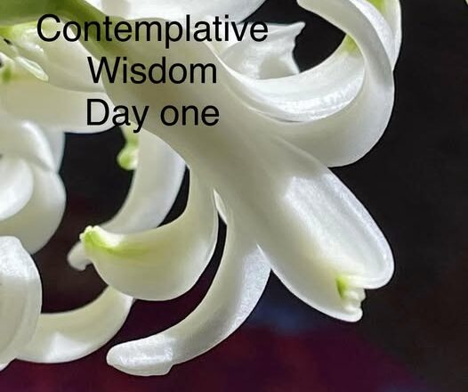 Contemplative Wisdom for Thirty Days - Day One photo by Dr. Jeanette Gallagher NMD