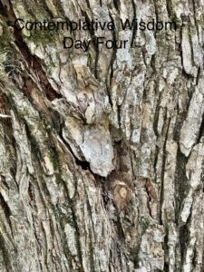 Contemplative Wisdom for Thirty Days - Day Four photo by Dr. Jeanette Gallagher NMD